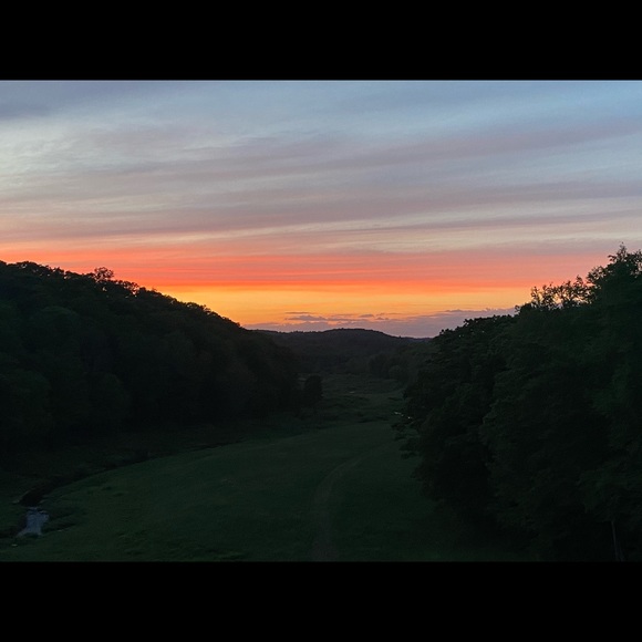 Meet your Posher, Michaela - Picture 1 of 1